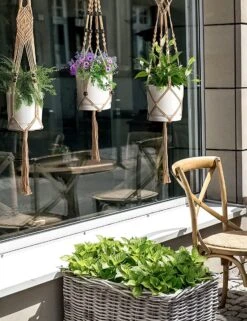 5 Stuks Jute Macrame Plantenhangers - Boho Handgeweven Katoen Hangpot Voor Binnen/Buiten - Hangende Bloempot Met Kralen - Macramé Touw/Koord Hangplant Houder - Bohemian Wandhanger Decoratie - Plant Hanger - Verticale Tuin Bloempothouder Planthanger -Tuinverzorgings Winkel 923x1200 9