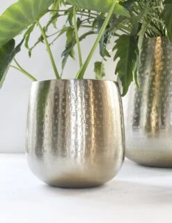 Gina Da - Bloempot - Karakter - Goud - Metaal - 15 Cm Hoog 11 Gina Da - Bloempot - Karakter - Goud - Metaal - 15 Cm Hoog -Tuinverzorgings Winkel 926x1200 5