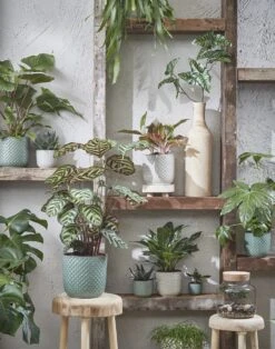 Mica Decorations Daan Bloempot - H17,5 X Ø19 Cm - Groen 11 Mica Decorations Daan Bloempot - H17,5 X Ø19 Cm - Groen -Tuinverzorgings Winkel 943x1200 2