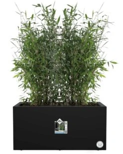 Elho Vivo Next Lang 60 - Bloempot Voor Binnen & Buiten - Ø 59.0 X H 29.2 Cm - Zwart/Living Black -Tuinverzorgings Winkel 956x1200 1