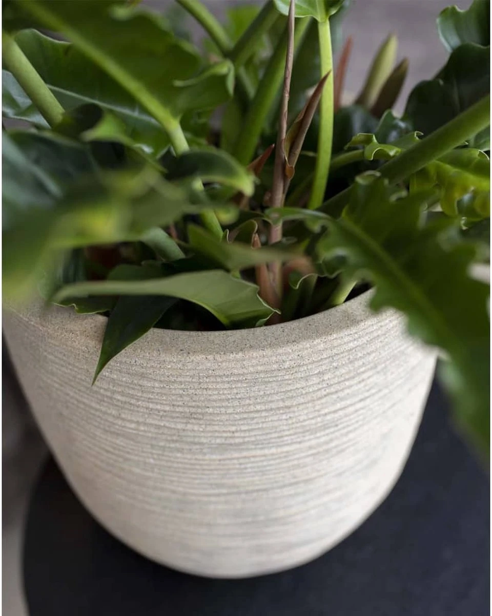 Capi Europe - Bloempot Bol Waste Rib NL - 43x41 - Terrazzo Beige - Voor Binnen En Buiten - KTBR933 7 Capi Europe - Bloempot Bol Waste Rib NL - 43x41 - Terrazzo Beige - Voor Binnen En Buiten - KTBR933 - Afbeelding 5