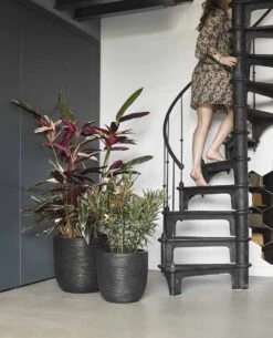 Capi Europe - Bloempot Bol Rib NL - 35x34 - Zwart - Voor Binnen En Buiten - KBLR932 -Tuinverzorgings Winkel 972x1200 1