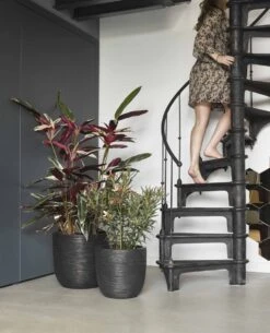 Capi Europe - Bloempot Bol Rib NL - 54x52 - Zwart - Voor Binnen En Buiten - KBLR935 21 Capi Europe - Bloempot Bol Rib NL - 54x52 - Zwart - Voor Binnen En Buiten - KBLR935 -Tuinverzorgings Winkel 972x1200 2