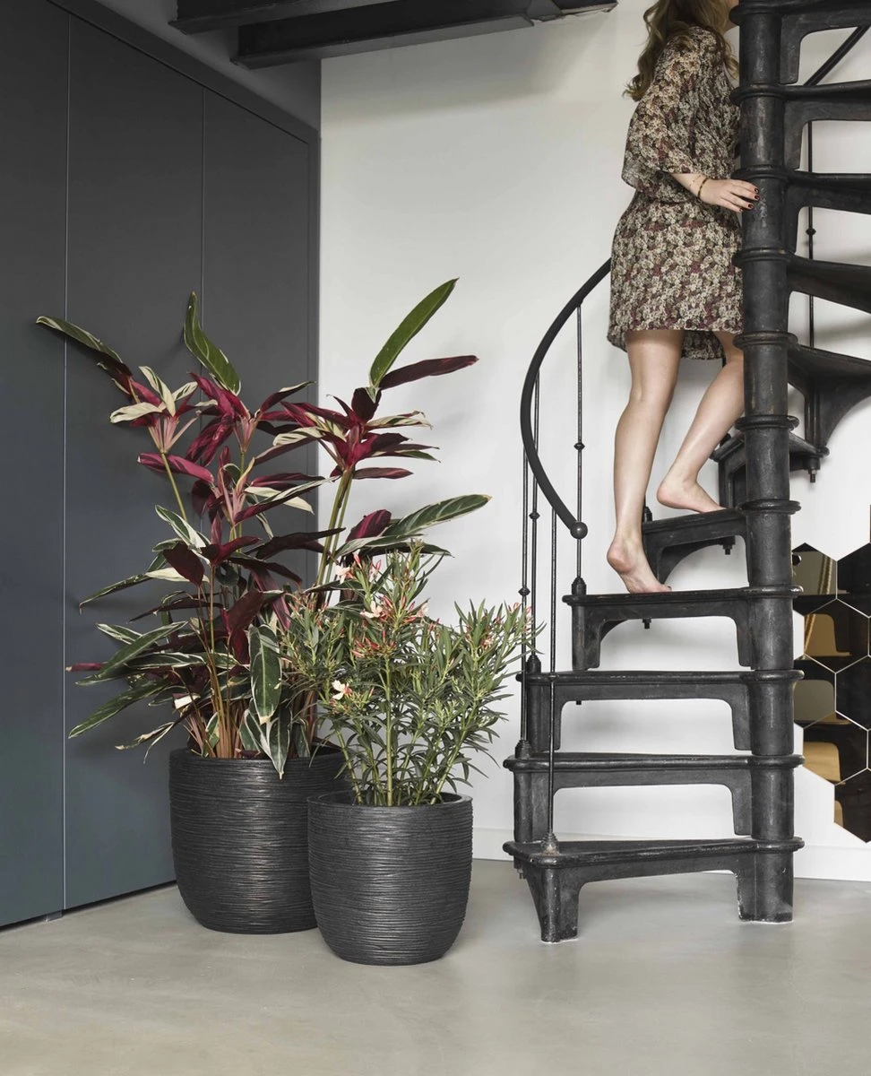 Capi Europe - Bloempot Bol Rib NL - 54x52 - Zwart - Voor Binnen En Buiten - KBLR935 12 Capi Europe - Bloempot Bol Rib NL - 54x52 - Zwart - Voor Binnen En Buiten - KBLR935 - Afbeelding 10