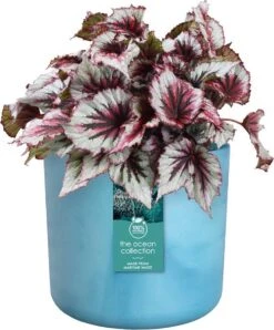 Elho The Ocean Collection Round 22cm - Bloempot Voor Binnen - 100% Gerecycled Materiaal - Gemaakt Met Zeeafval - Ø 22.3 X H 20.4 Cm - Atlantisch Blauw -Tuinverzorgings Winkel 995x1200 1